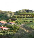 new_dos_vistas