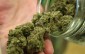marijuana-dbc04668ba596d1d11bbfdcab899d5bdcf6b293a-s6-c10