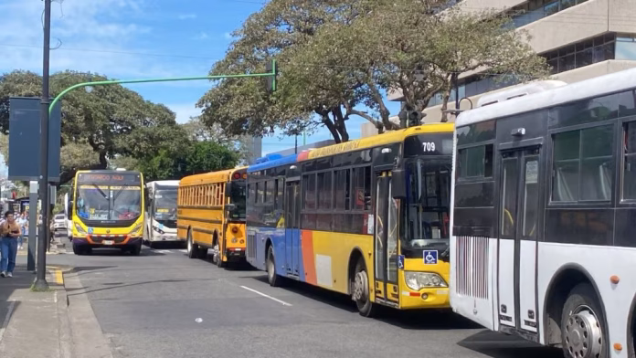 Buses-