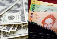 Industries suspend new investments and cut staff affected by exchange rate