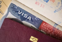 Why did the US pause immigration visa appointments?